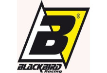 BLACKBIRD