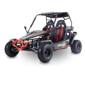 Buggy, UTV