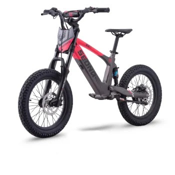 Kids electric bikes